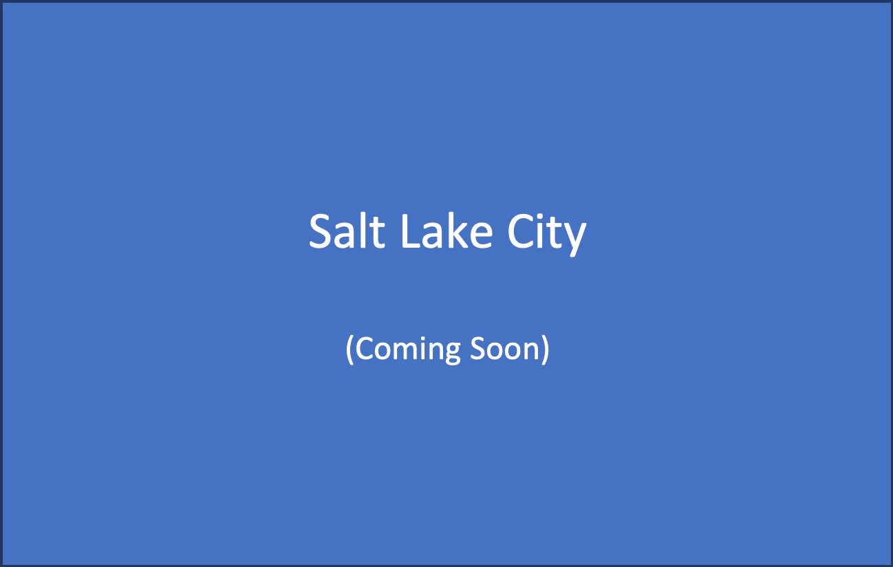 Salt Lake City Toy Car Play Mat